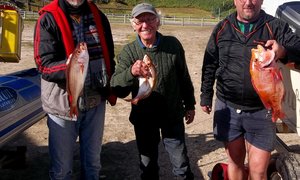 Die opwinding van hengel